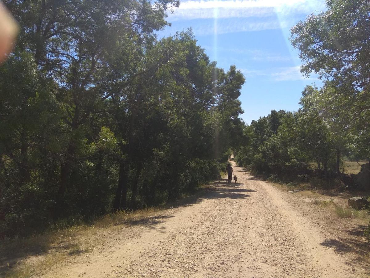 Acogedora Casa Rural En La Sierra De Madrid 马塔埃尔皮诺 外观 照片