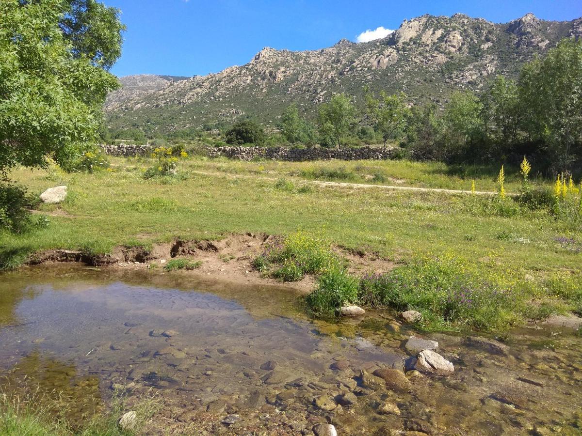 Acogedora Casa Rural En La Sierra De Madrid 马塔埃尔皮诺 外观 照片
