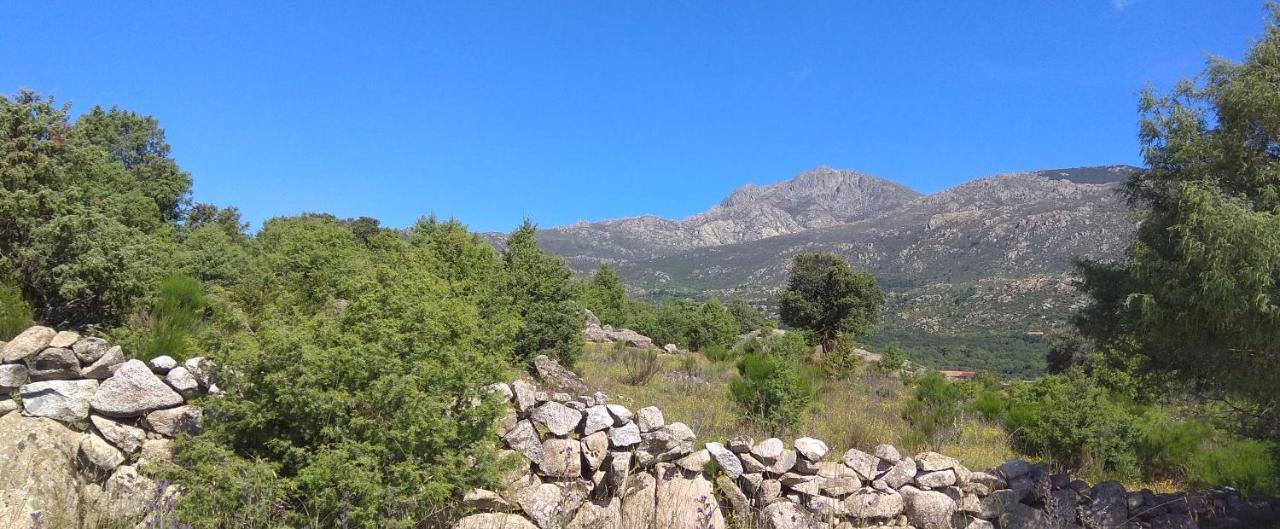 Acogedora Casa Rural En La Sierra De Madrid 马塔埃尔皮诺 外观 照片